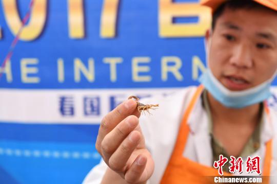 �D��̩��(gu��)���x���ϰ�����������x�������G�� �z