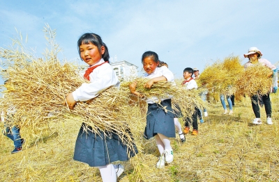 ����һС�W(xu��)�Ђ�(g��)�r(n��ng)Ȥ�@ �����������@���N�����ի@