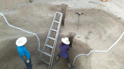 ���Ź������ڌ��m�ǳǉ����ۺ����M�Эh(hu��n)��ȡ�Ӝy�ܶ����������ṩ