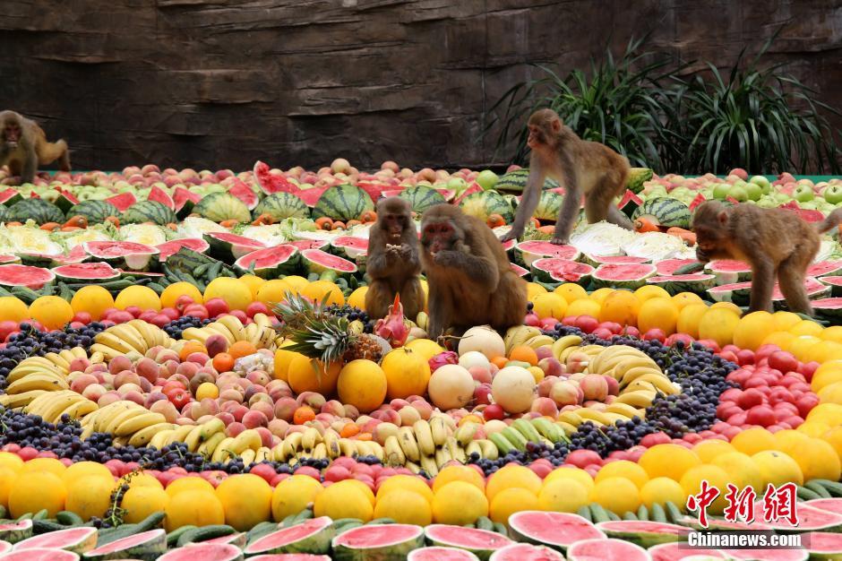 8000��ﳬ��ˮ��ƴ�P��Ո����������