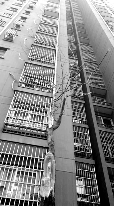 СŮ���Ę��ϵ��r(sh��)�ě_��������֦���Ҕ�����