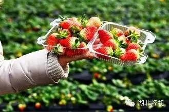 ��ݮ��ժ�@��؈ā������͵͵��ˎ �����u�o�ο�(�D)