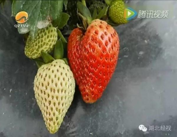 ��ݮ��ժ�@��؈ā������͵͵��ˎ �����u�o�ο�(�D)2