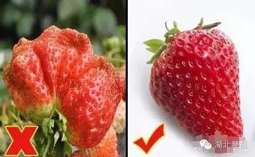 ��ݮ��ժ�@��؈ā������͵͵��ˎ �����u�o�ο�(�D)5