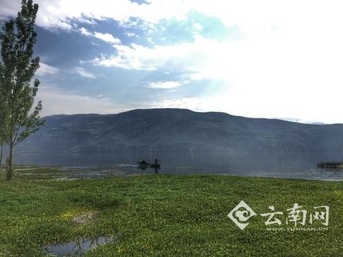 ��������`����156���Pͣ��͗�515��