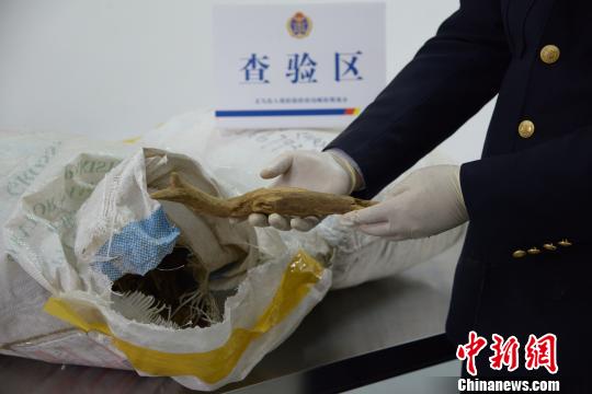 �x���]·�ڰ��״νث@��(gu��)�Ҷ���(j��)�lΣ��ϡֲ�����ľ