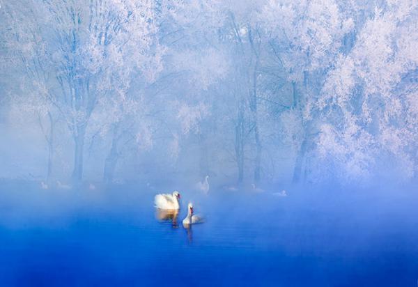 ���F��؟�� �F���P�ۡ����Č�ȫ���zӰ��ِ����ِ�@�����νҕ�