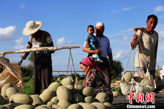 �½����ܹ�ӭ��ժ������(n��i)�ؿ��̓�ُ(g��u)æ���M�D��