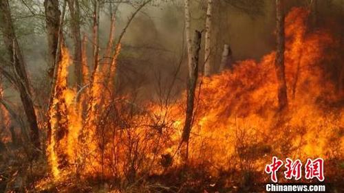 ��(n��i)�ɹŴ��d���X�ߵ��ֈ�(ch��ng)���(z��i)��Ͷ��4000�˓��