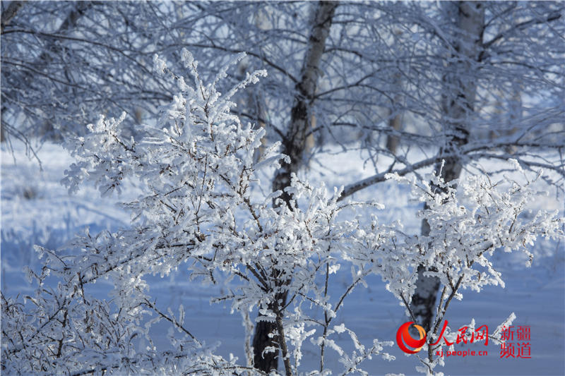 �����r��(ji��)���K��ԭӭ���Fڡ���^���D����2��